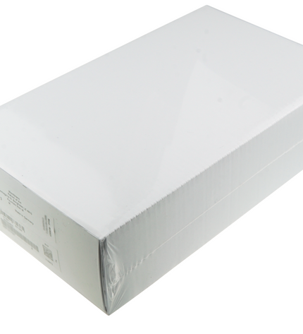 Montblanc Patron of Art 2017 Scipione Borghese 4810 Edition Füller - Sealed