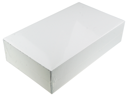 Montblanc Patron of Art 2017 Scipione Borghese 4810 Edition Füller - Sealed - meisterstück-shop.de
