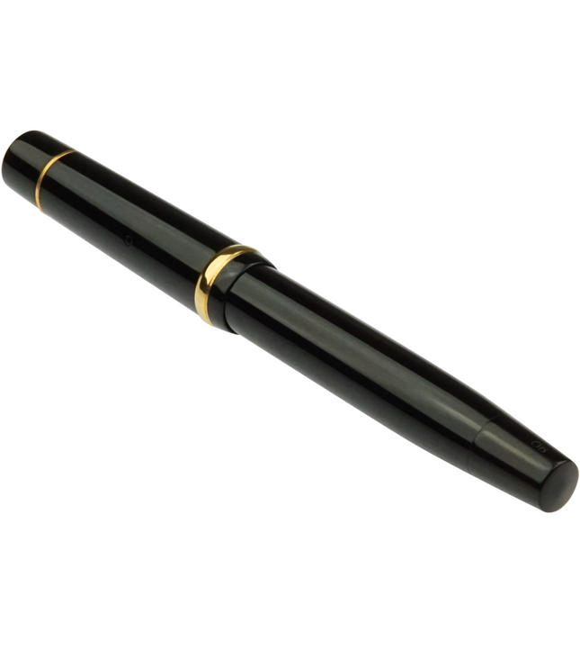 Montblanc Meisterstück Füller Nr.124G - Vintage Zelluloid