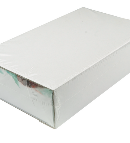 Montblanc Patron of Art 2022 Homage to Vicotria 4810 Edition Füller - Sealed