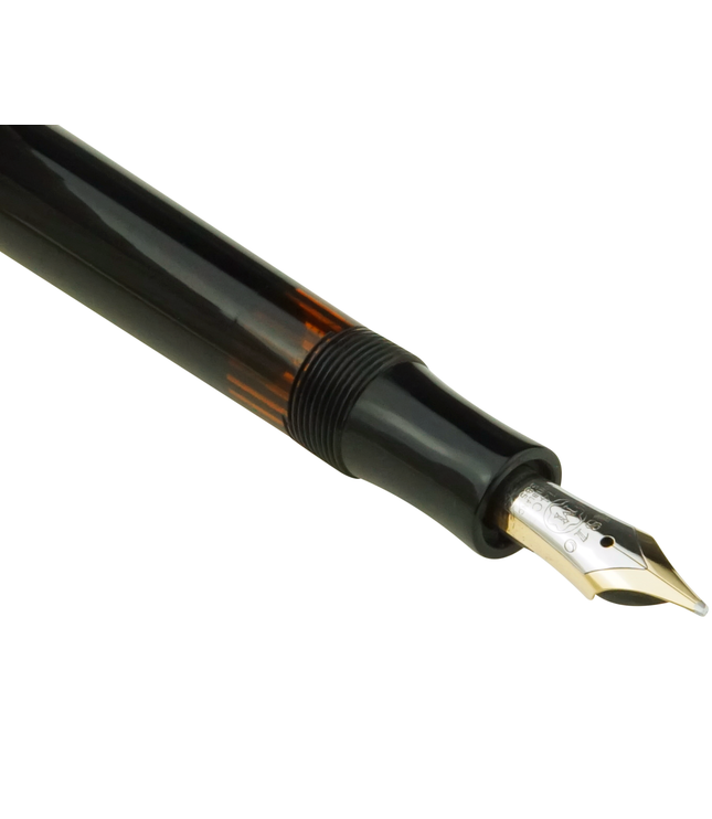 Montblanc Meisterstück Füller Nr.134 - Vintage Zelluloid