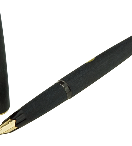 Montblanc Classic Füller Nr.220
