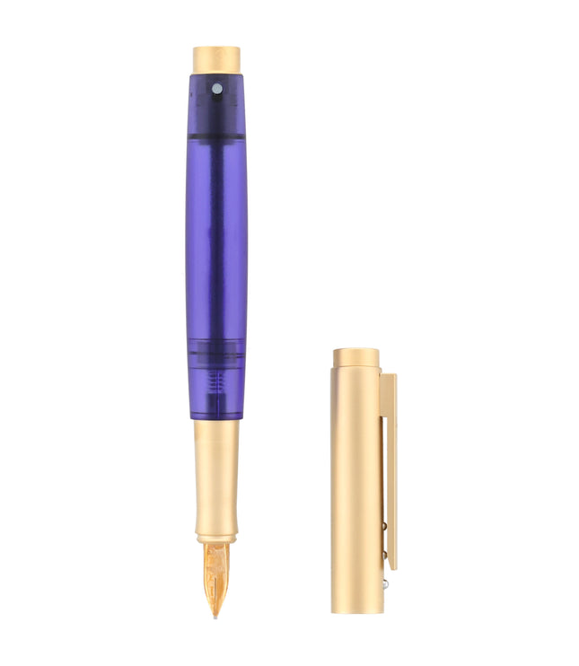 Pelikan Level L5 Füller Set Gold